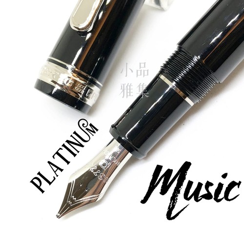Penna stilografica platino