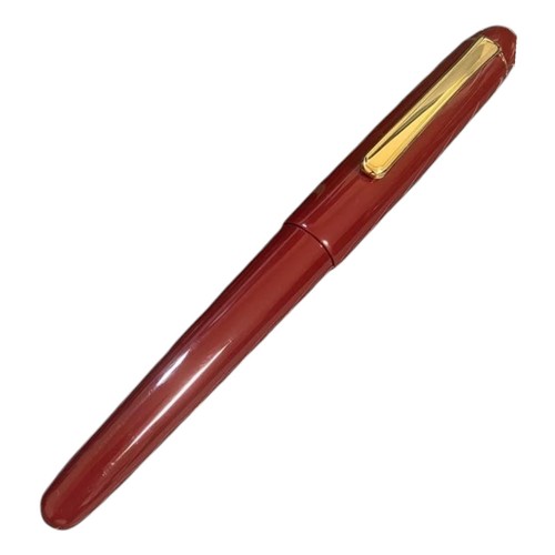 Penna stilografica platinum - penna,