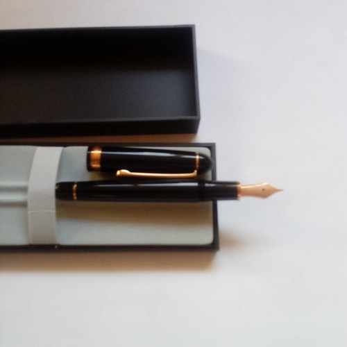 Penna stilografica platinum - penna,