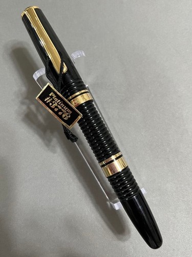Penna stilografica platinum - stilografica,