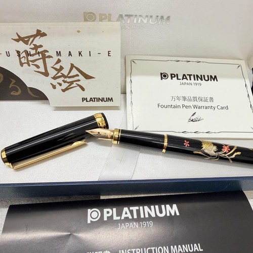 Penna stilografica platino