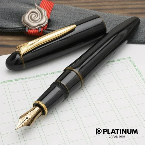 Penna stilografica platino