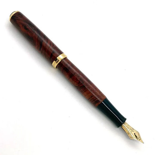 Penna stilografica platinum - penna,