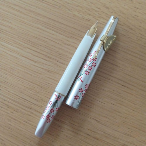 Penna stilografica platinum - penna,