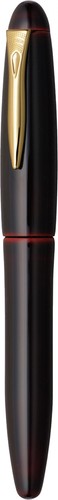 Penna stilografica platinum - penna,