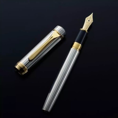 Penna stilografica platinum - stilografica,