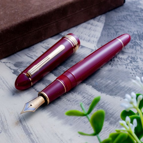 Penna stilografica platinum - penna,