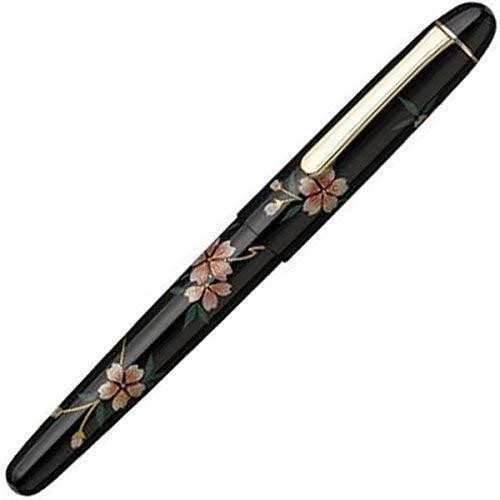 Penna stilografica platinum - penna,